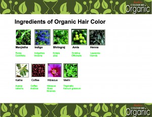 Radico Organic Herbs used in Hair Color